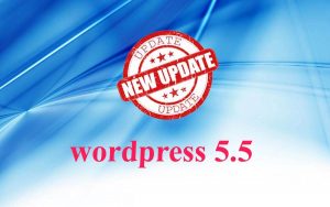 update Wordpress 5.5
