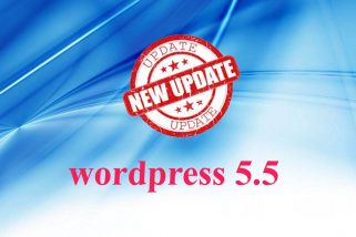 update Wordpress 5.5