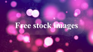 Download Free stock images