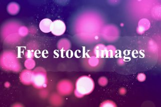 Download Free stock images